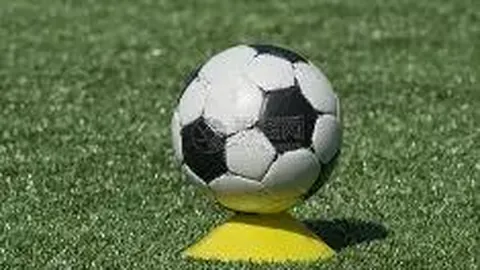 电竞俱乐部暑期推出游戏劝退课程，文化课培训热度回升引关注