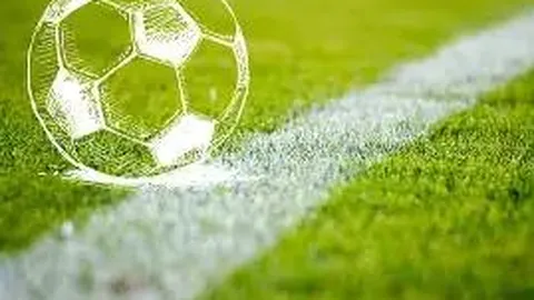 2025年国家与地方体育产业政策盘点：聚焦31省市热点