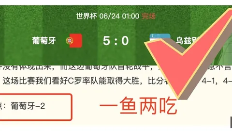 开云体育，开云体育官网， 150316 2
