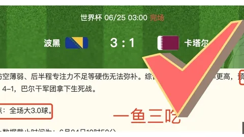 开云体育 154301 8